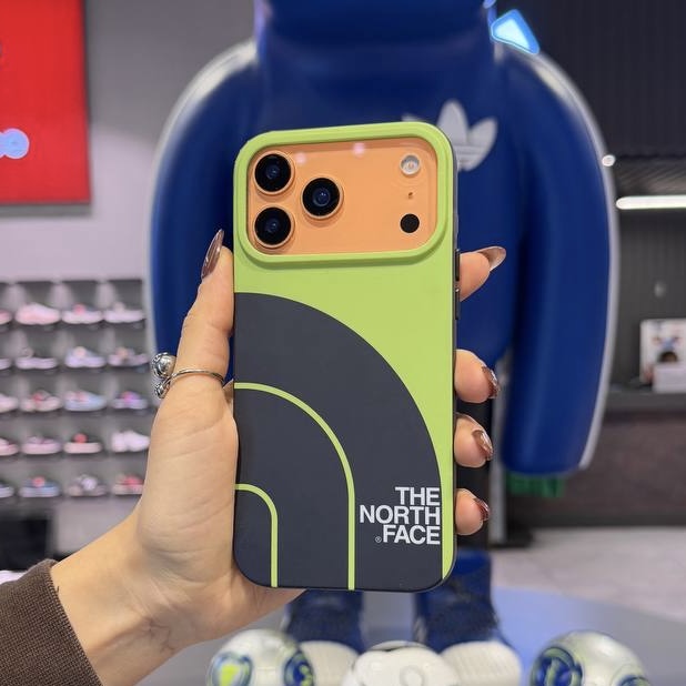 قاب گوشی آیفون north face green کد c4305